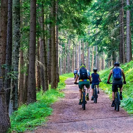 Eifel21 - Stilvolles Haus In Der Vulkaneifel