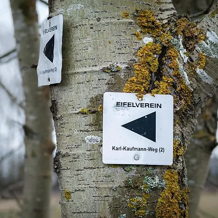 Eifel21 - Stilvolles Haus In Der Vulkaneifel Vakantiehuis Bleckhausen