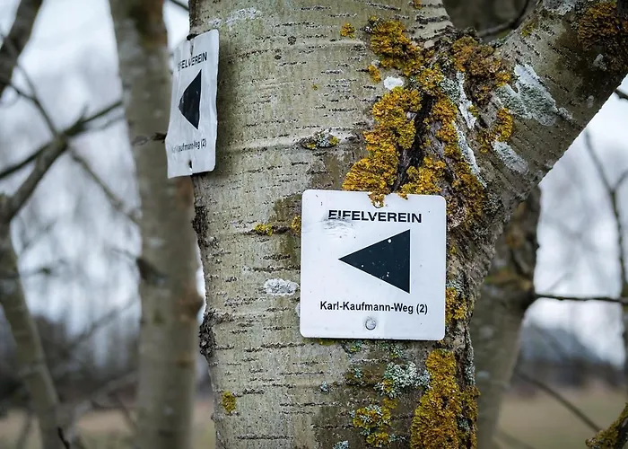 Eifel21 - Stilvolles Haus In Der Vulkaneifel Dom wakacyjny Bleckhausen